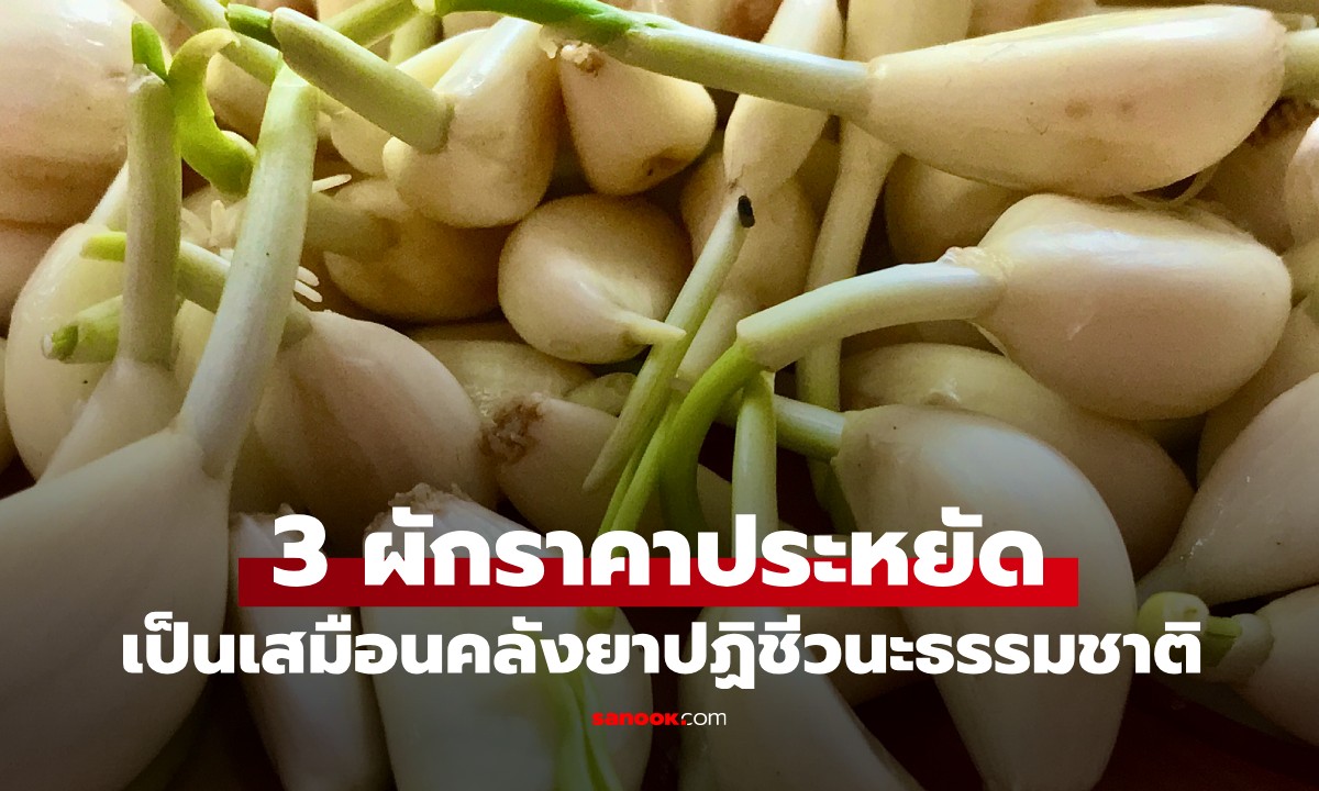 3 ผักราคาประหยัด แต่เป็นเสมือน \