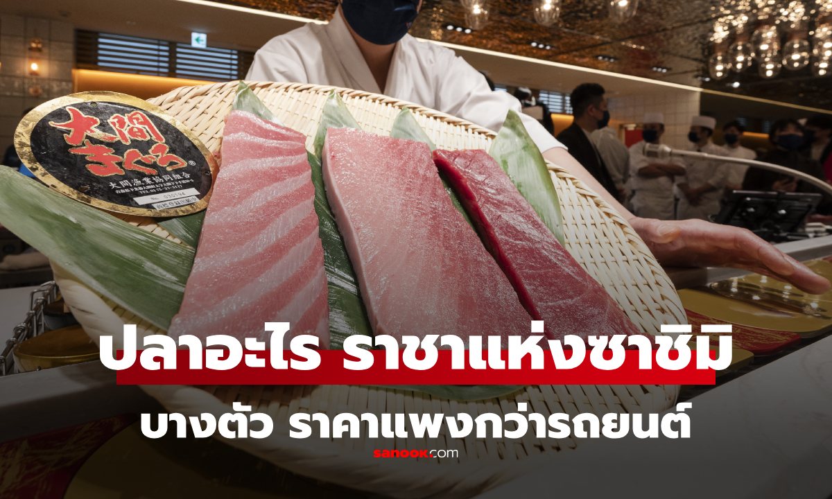 ไม่ใช่แซลมอน! \