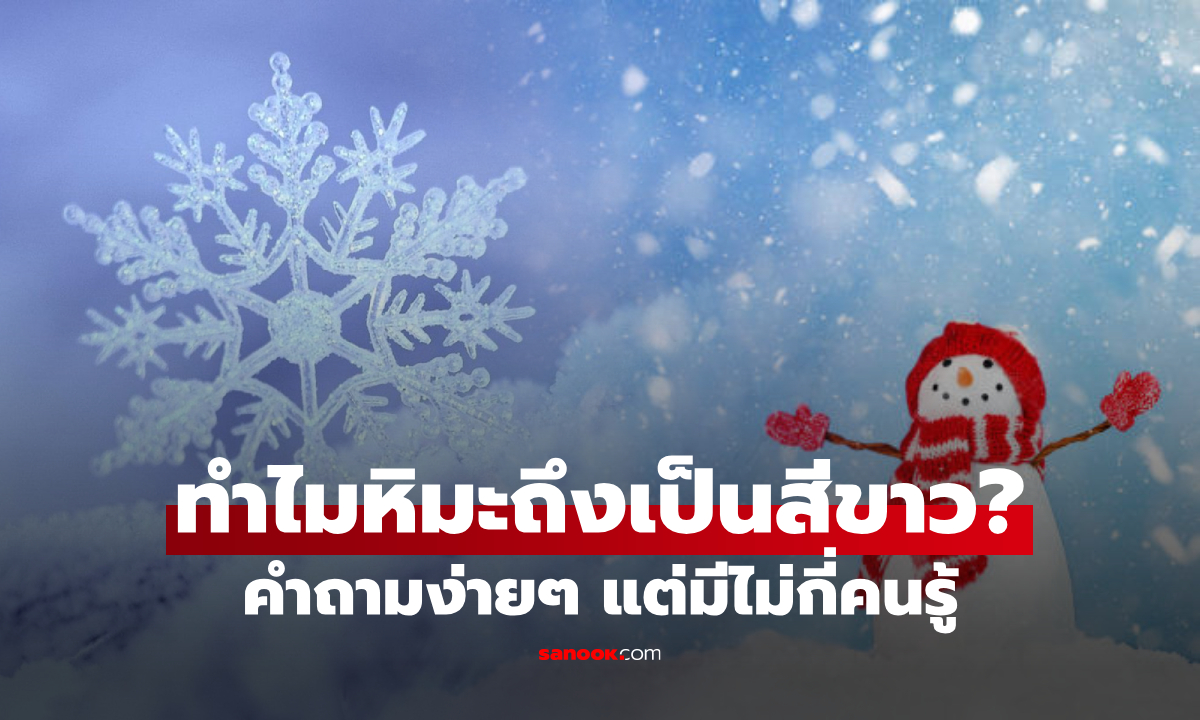 ทำไมเราถึงมองเห็น \