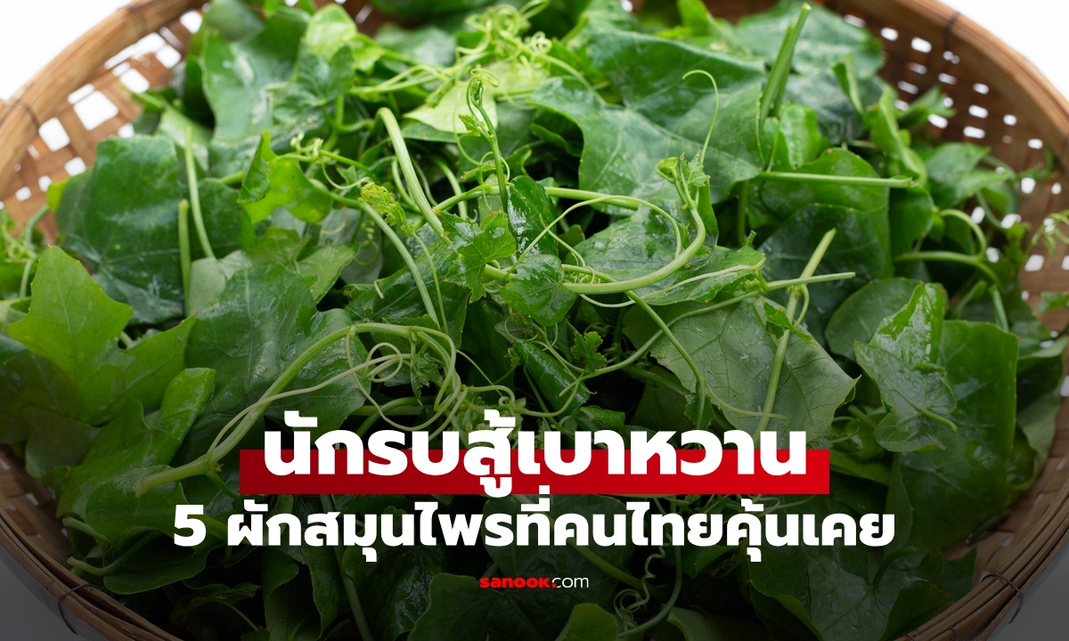5 สมุนไพรไทย \