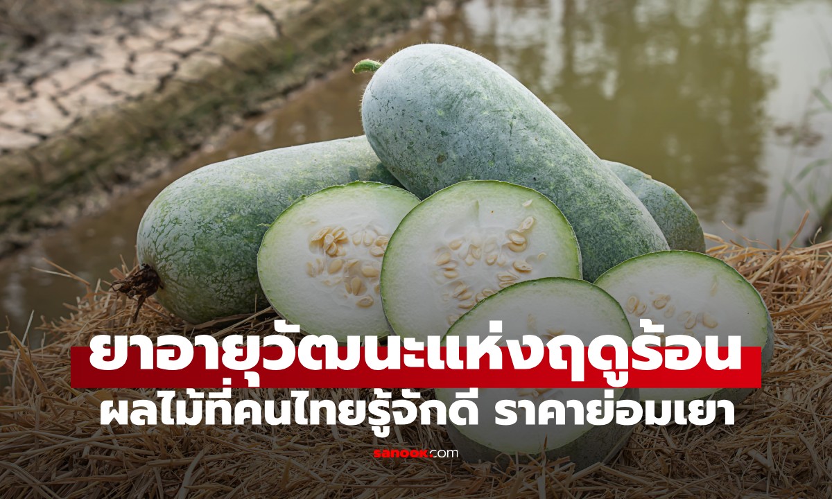 ผลไม้ชนิดนี้คือ \
