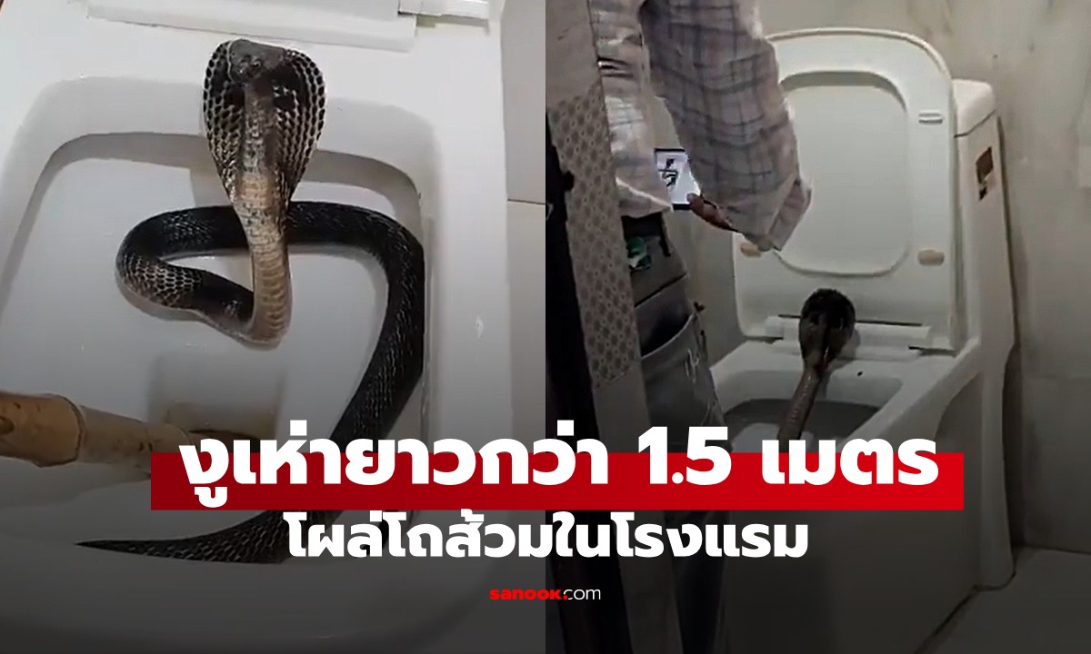 พบ \