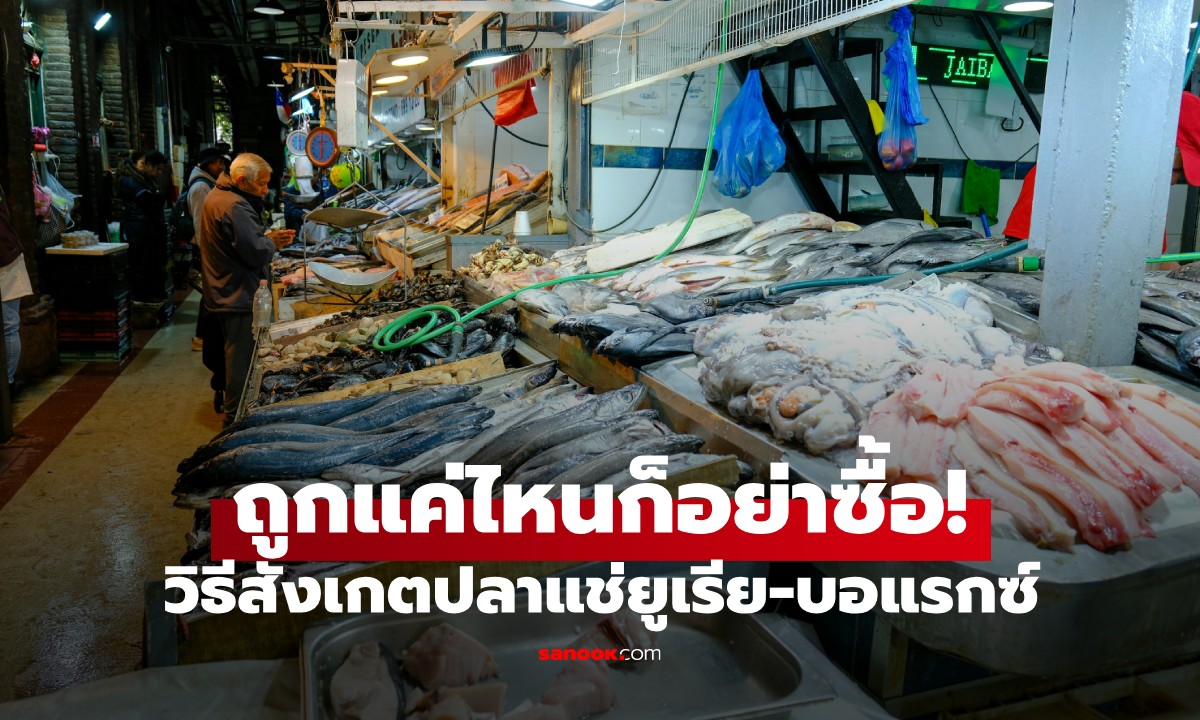 ปลาที่แช่ด้วยยูเรีย-บอแรกซ์ มักมี 6 ลักษณะนี้ ขายถูกแค่ไหน ก็อย่าซื้อมากินเด็ดขาด