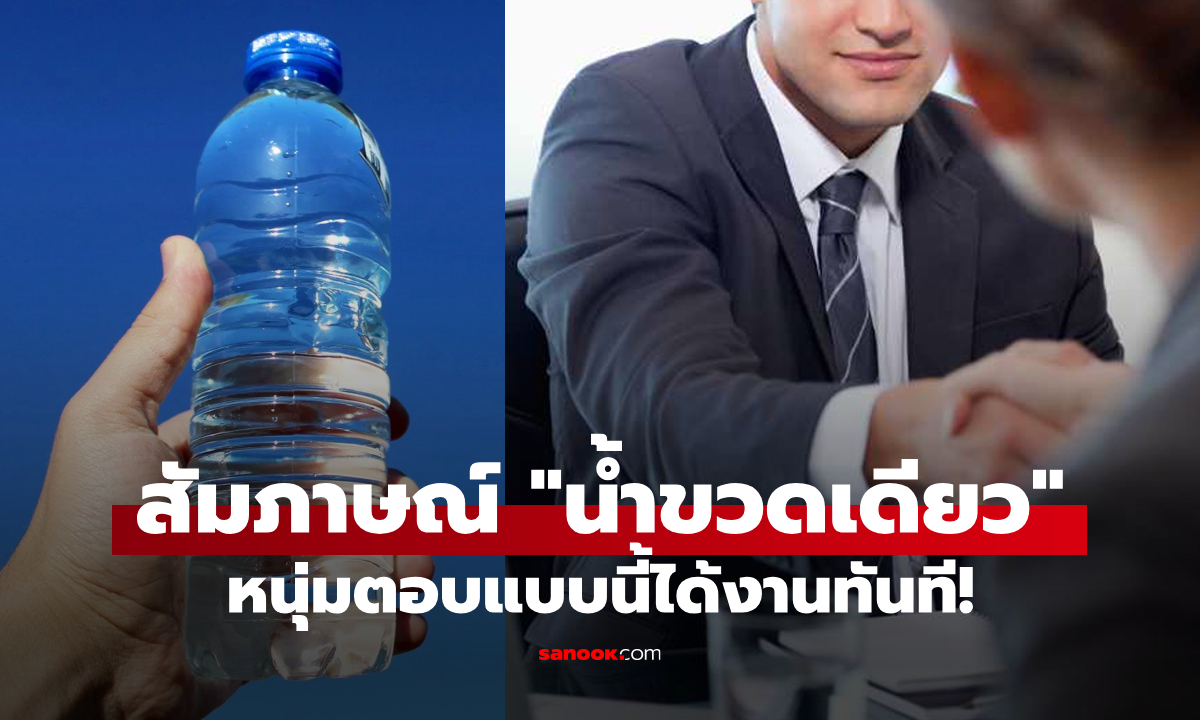 สัมภาษณ์งาน \