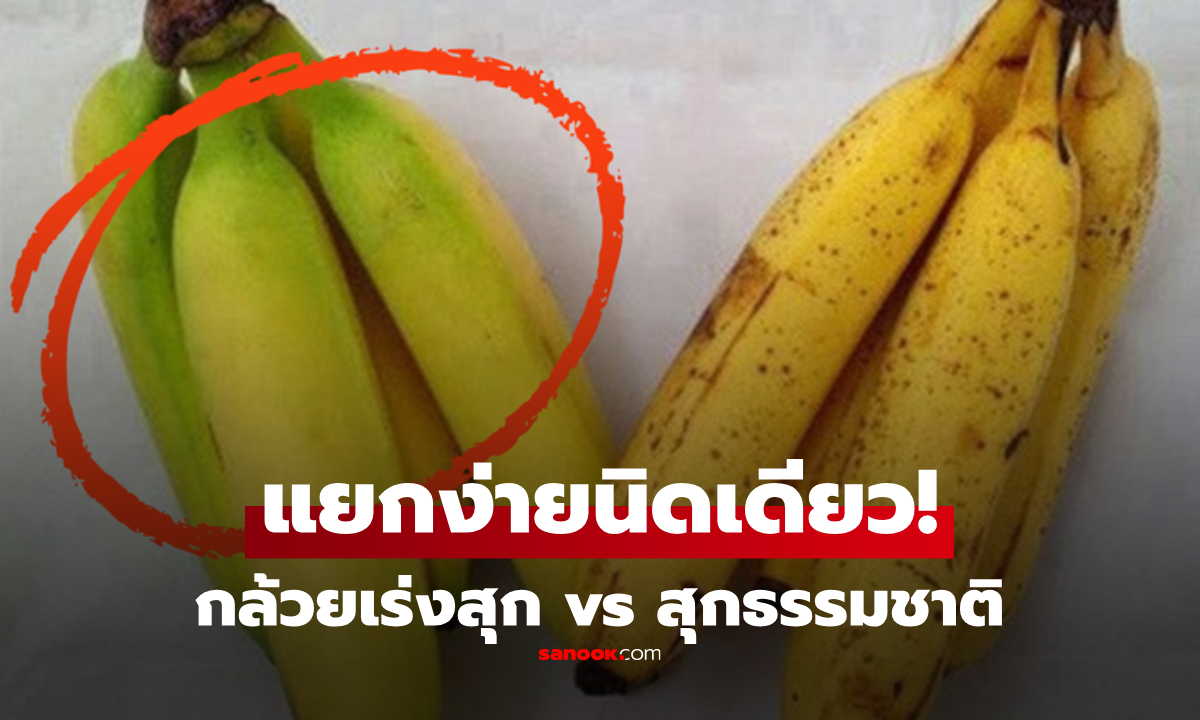 รู้ไว้ดีกว่า! เคล็ดลับเลือกกล้วย \