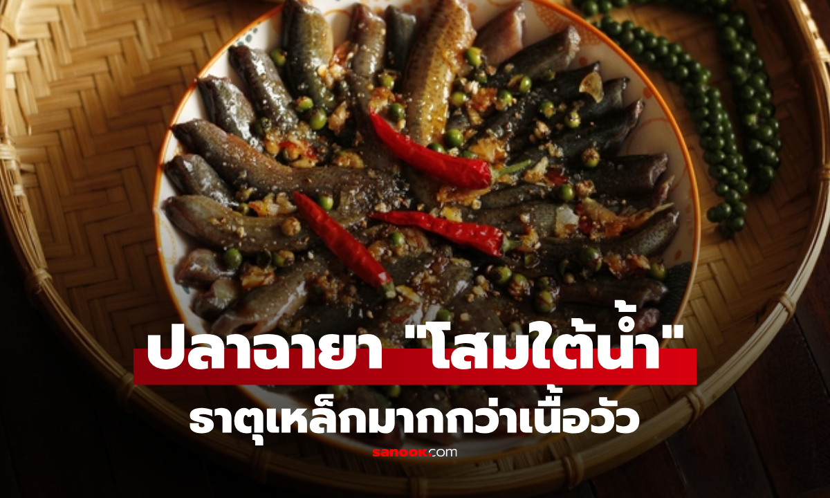 ปลาที่จีนเรียกว่า \