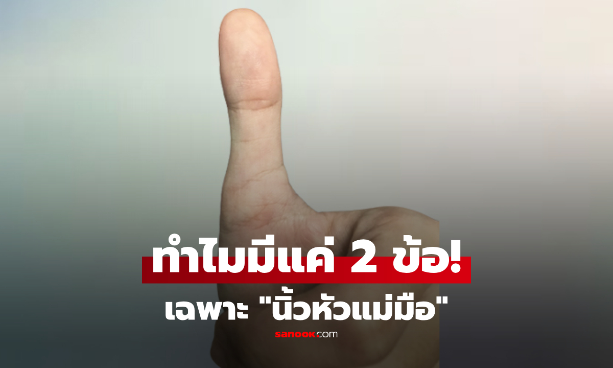 ทำไม “นิ้วหัวแม่มือ” มีแค่สองข้อเท่านั้น? เป็นมาตั้งแต่บรรพบุรุษ หรือวิวัฒนาการมนุษย์