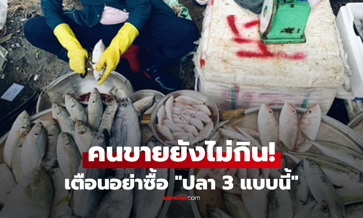 พ่อค้าพูดตรงๆ \