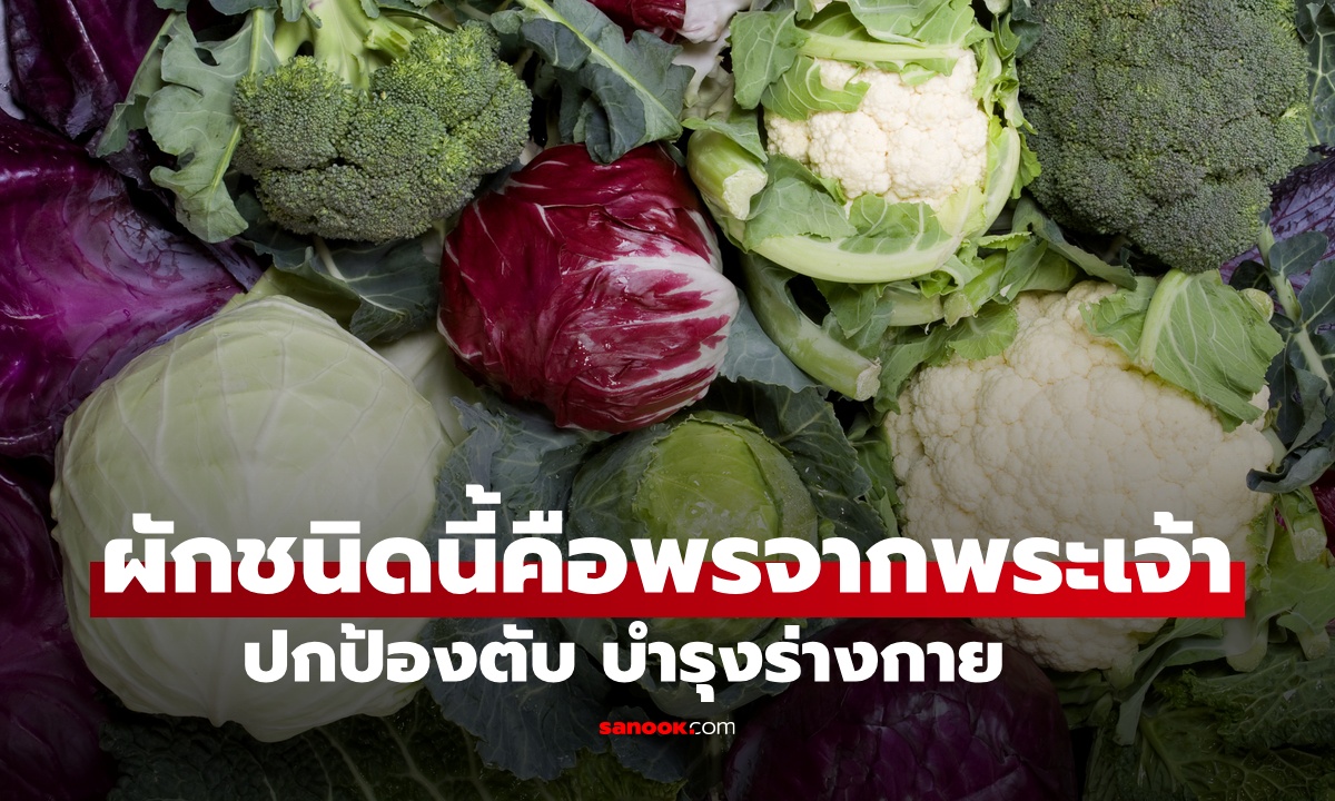หมอสหรัฐฯ ยกย่อง \
