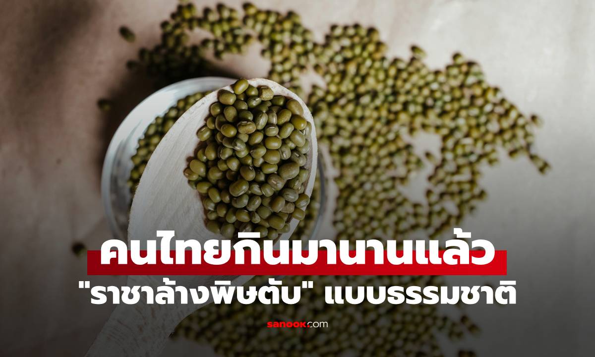 หมอเผยเมล็ดชนิดนี้คือ \