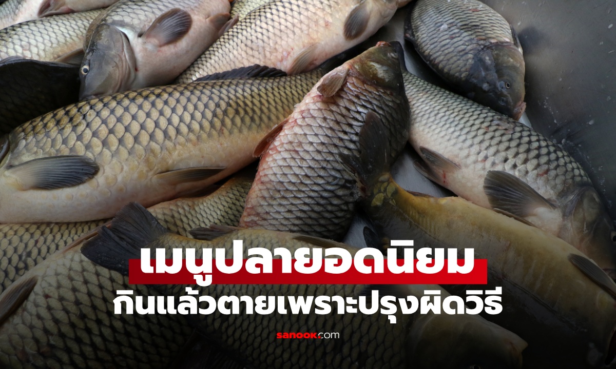 ปลายอดนิยม \