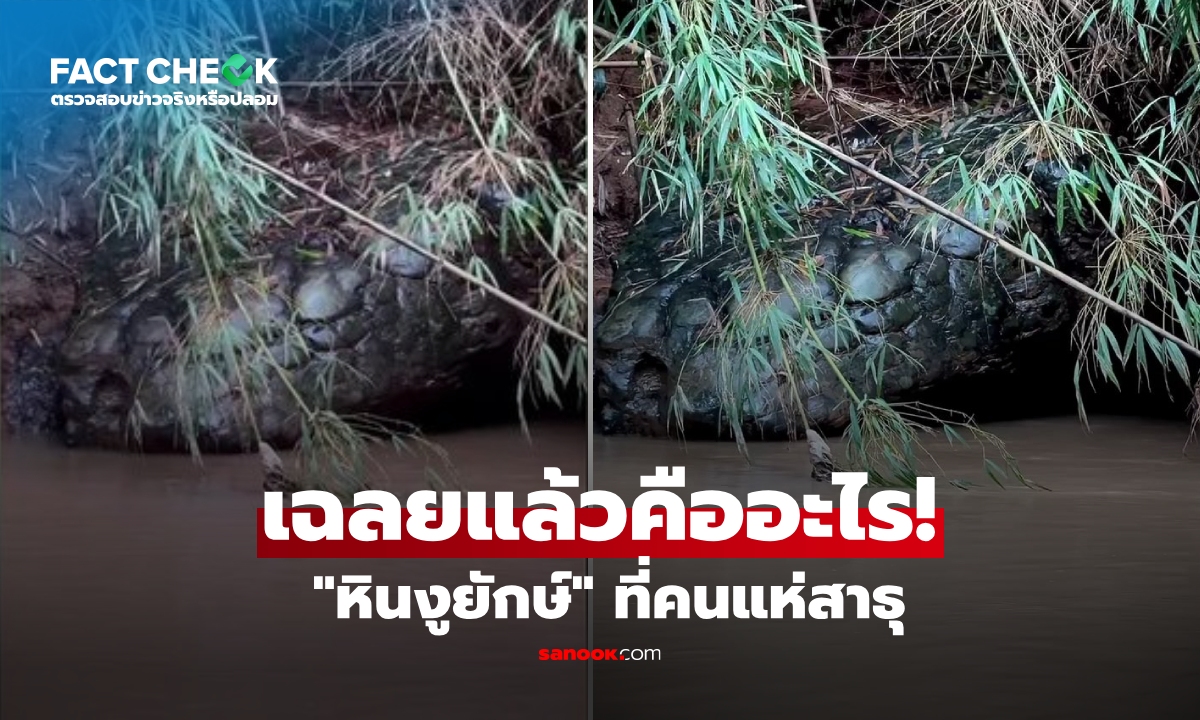 เฉลยแล้ว! \