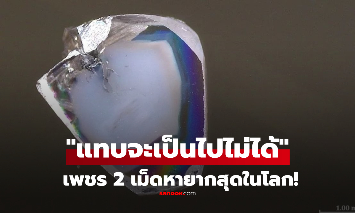 พบเพชร 2 เม็ดหายากสุดในโลก! มี \