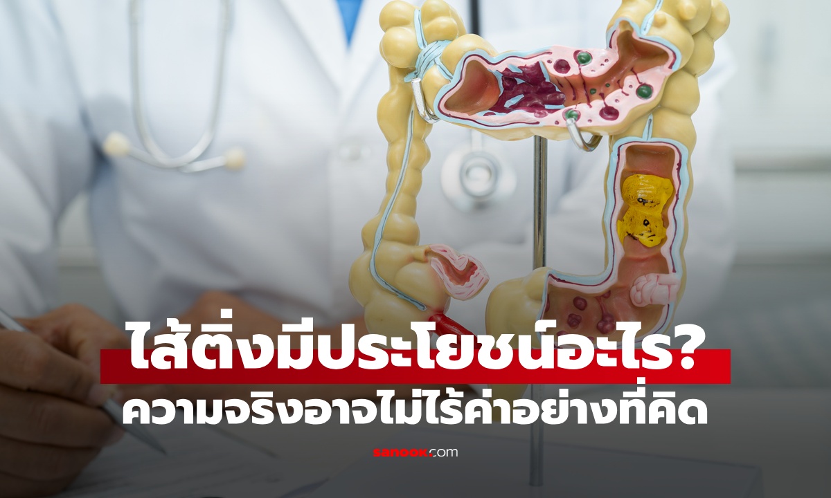 ไส้ติ่ง มีประโยชน์ยังไง? อวัยวะที่เป็นระเบิดเวลา ความจริงอาจไม่ไร้ค่าอย่างที่คิด