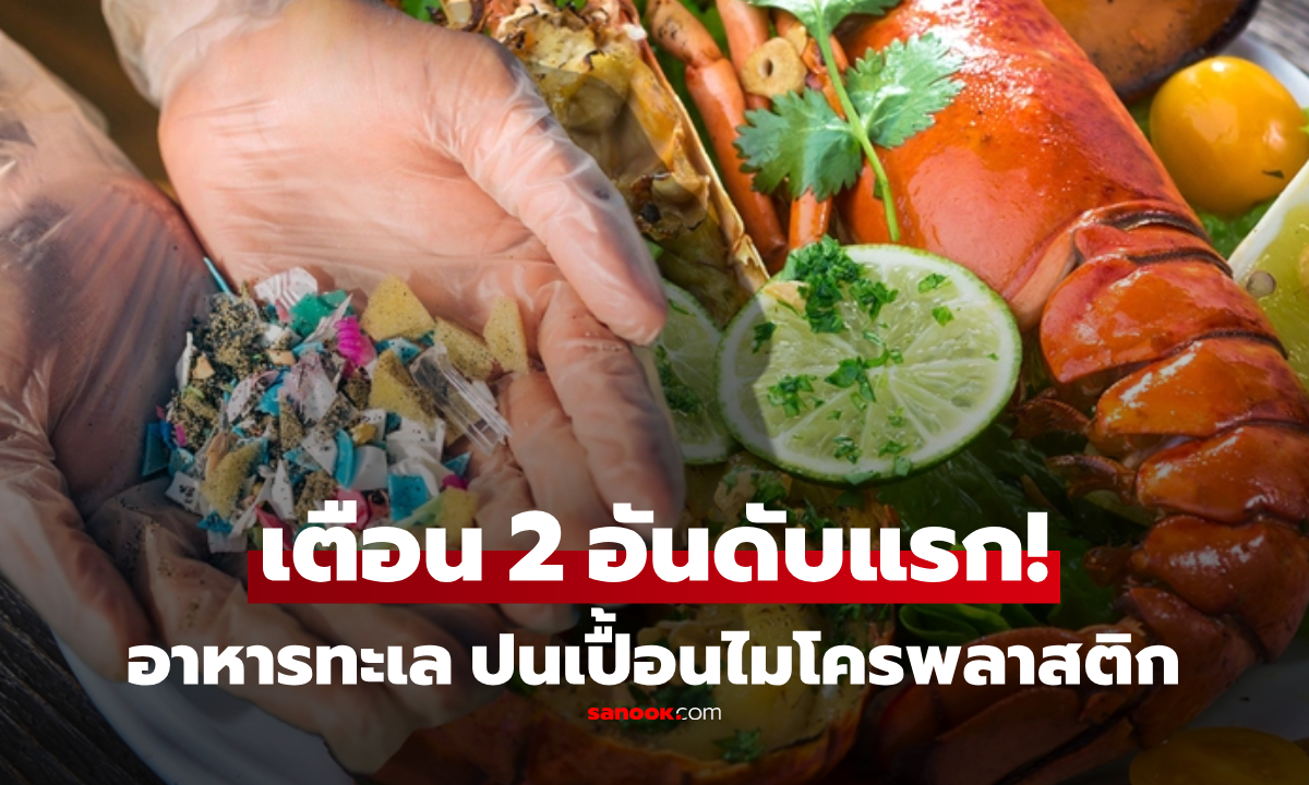 2 อาหารทะเล ปนเปื้อนไมโครพลาสติก \