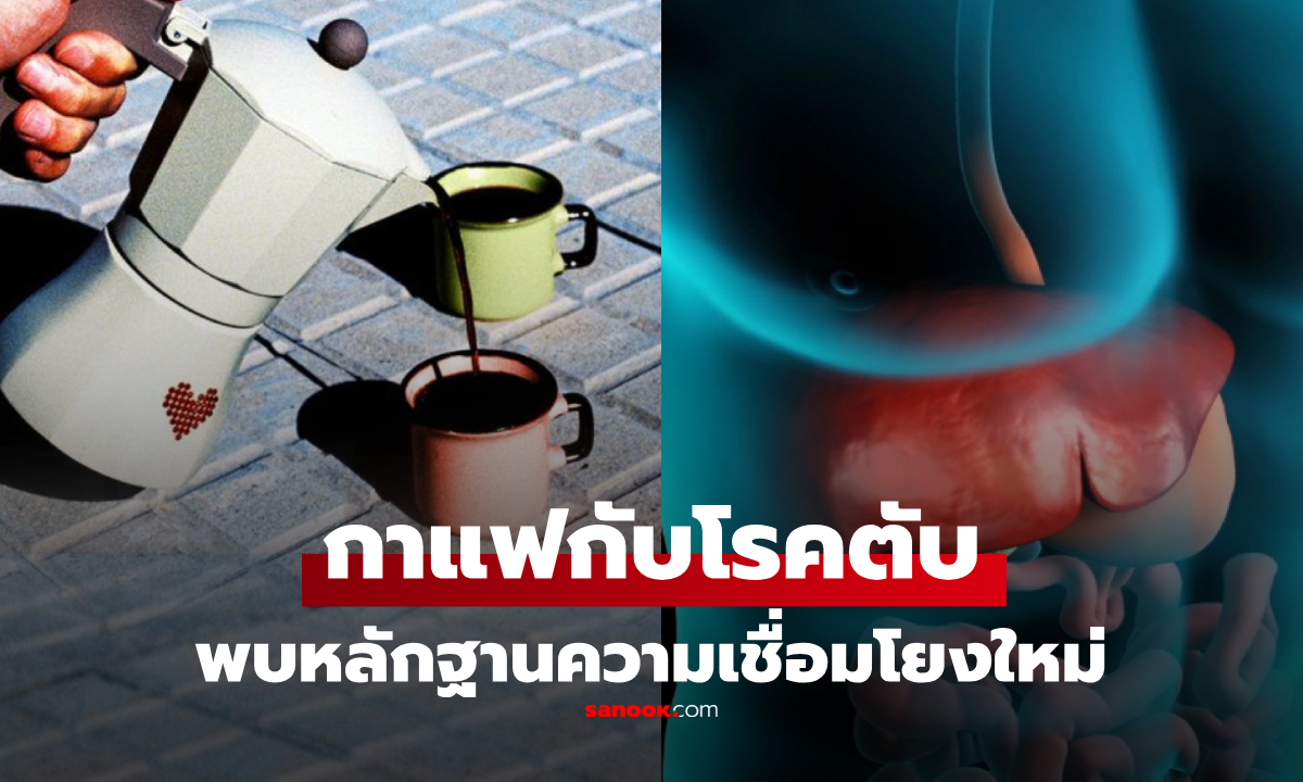 พบหลักฐานใหม่ ความเชื่อมโยงระหว่าง \