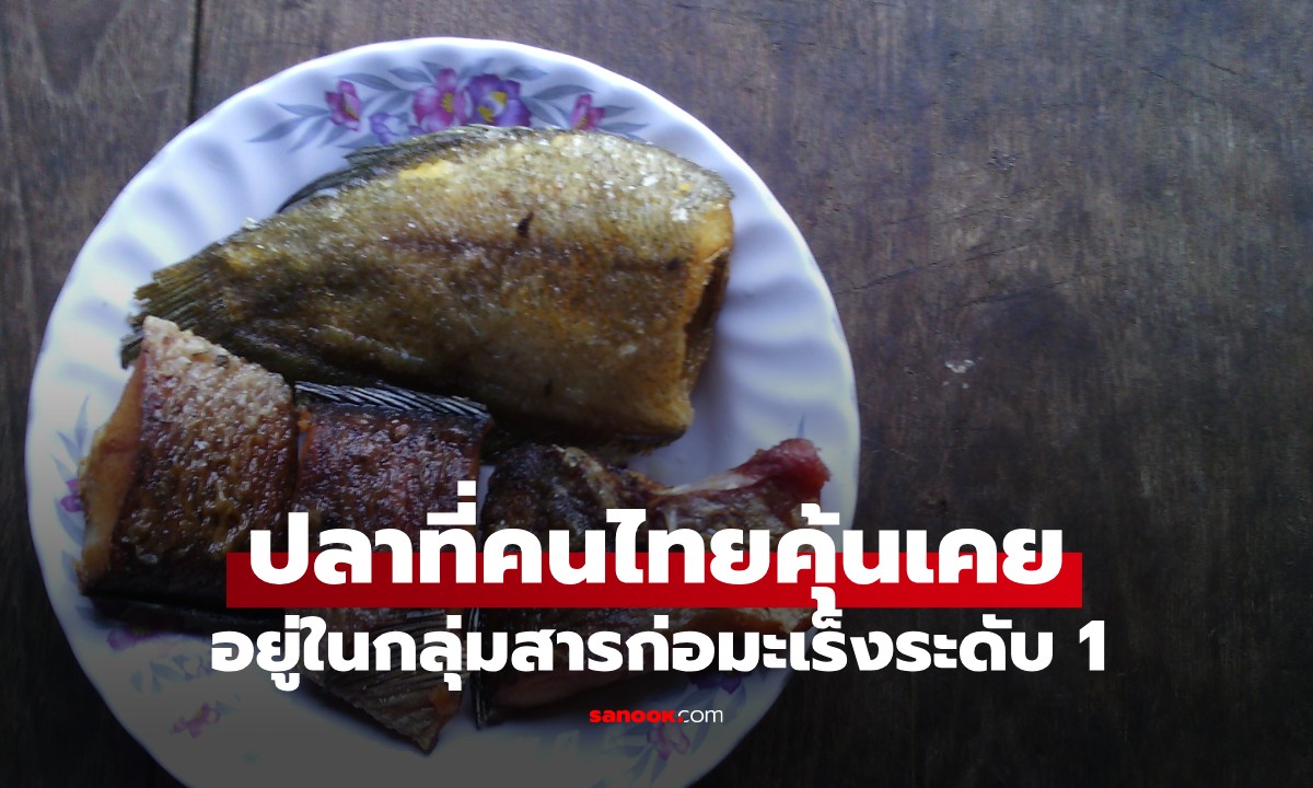 ปลา 1 ชนิด คนไทยได้ยินแล้วร้องอ๋อ! ถูกจัดเป็น \