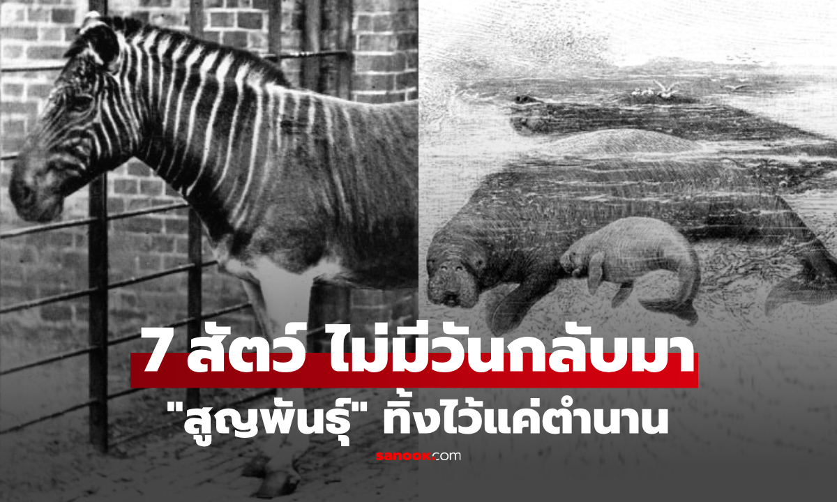 เปิดภาพ 7 สัตว์ที่ \
