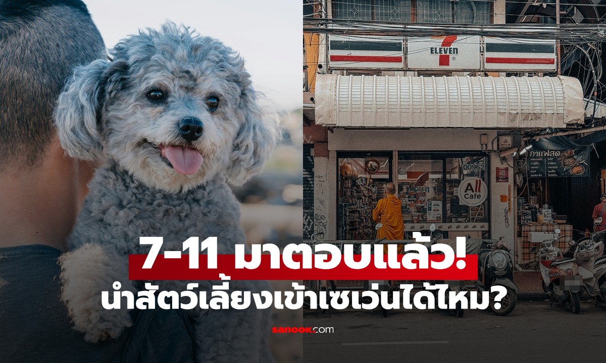 นำสัตว์เลี้ยงเข้าเซเว่นได้ไหม? หลังเจอลูกค้าอุ้มหมาเข้าร้าน 7-11 มาตอบแล้ว!