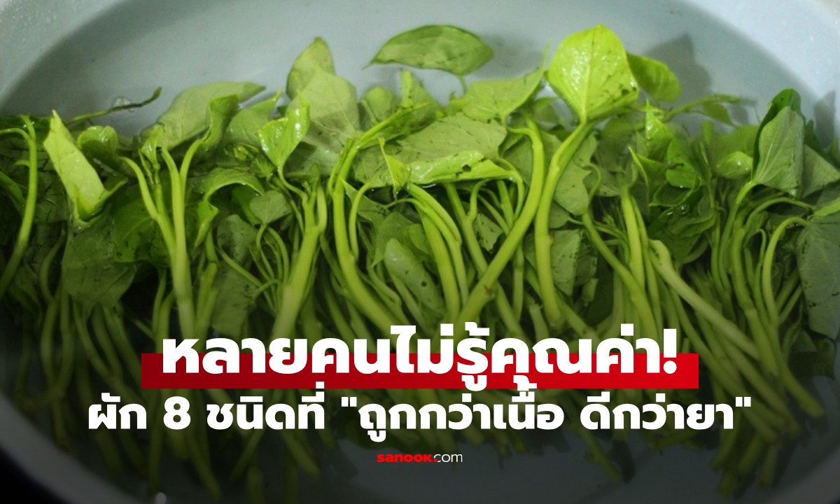 ผัก 8 ชนิด ที่ \