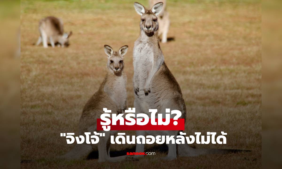 รู้หรือไม่? \
