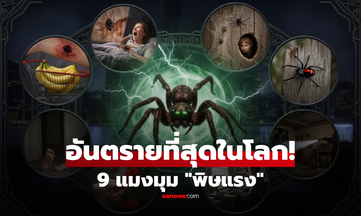 เปิดโฉม 9 แมงมุม \