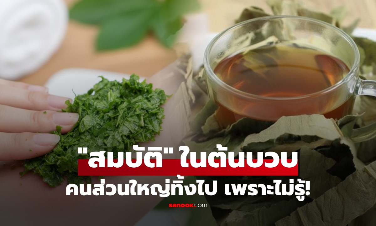 1 ส่วนในต้นบวบ ใช้เป็น \