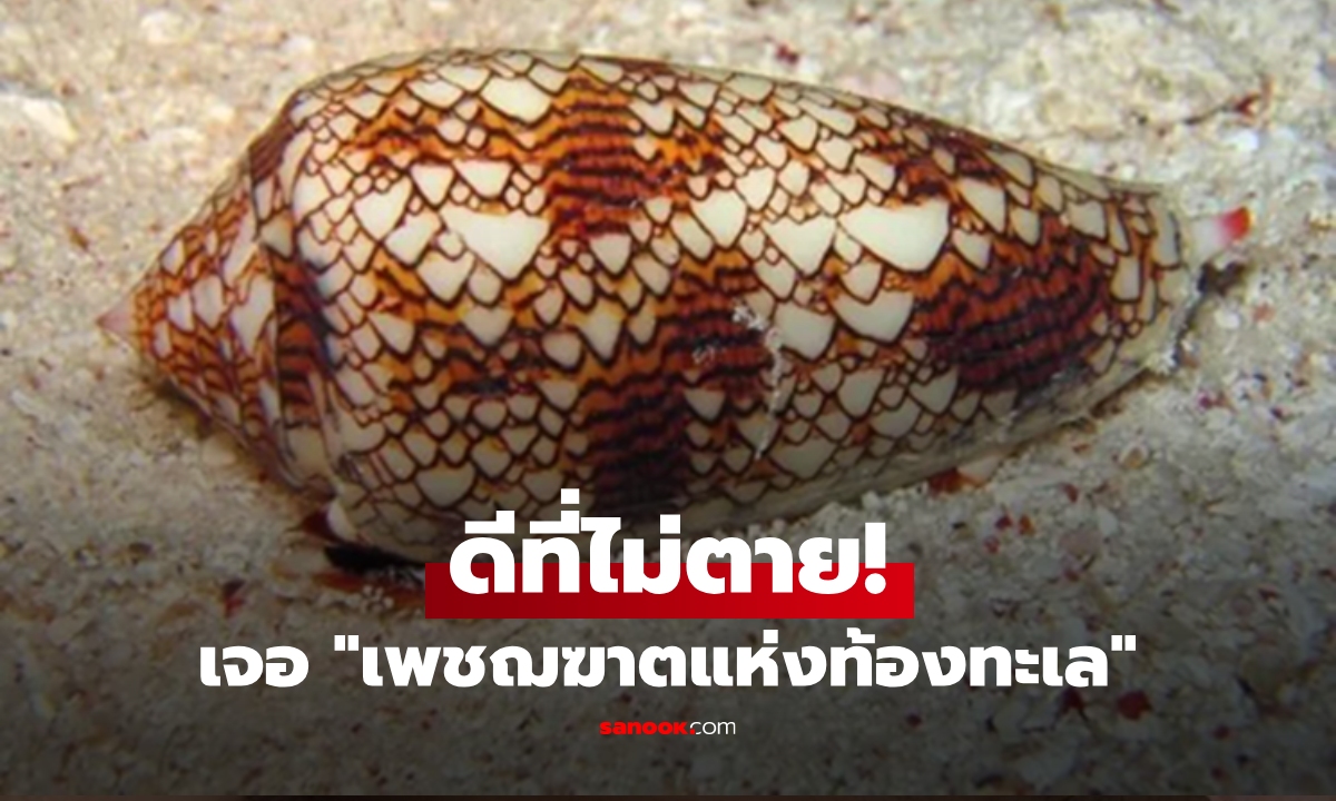 สาวอวดรูป \