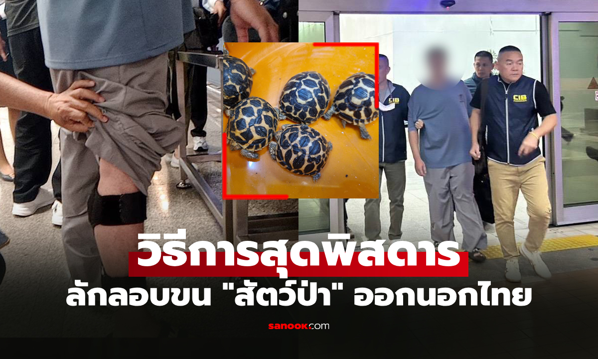 สุดท้ายไม่รอด! รวบ \