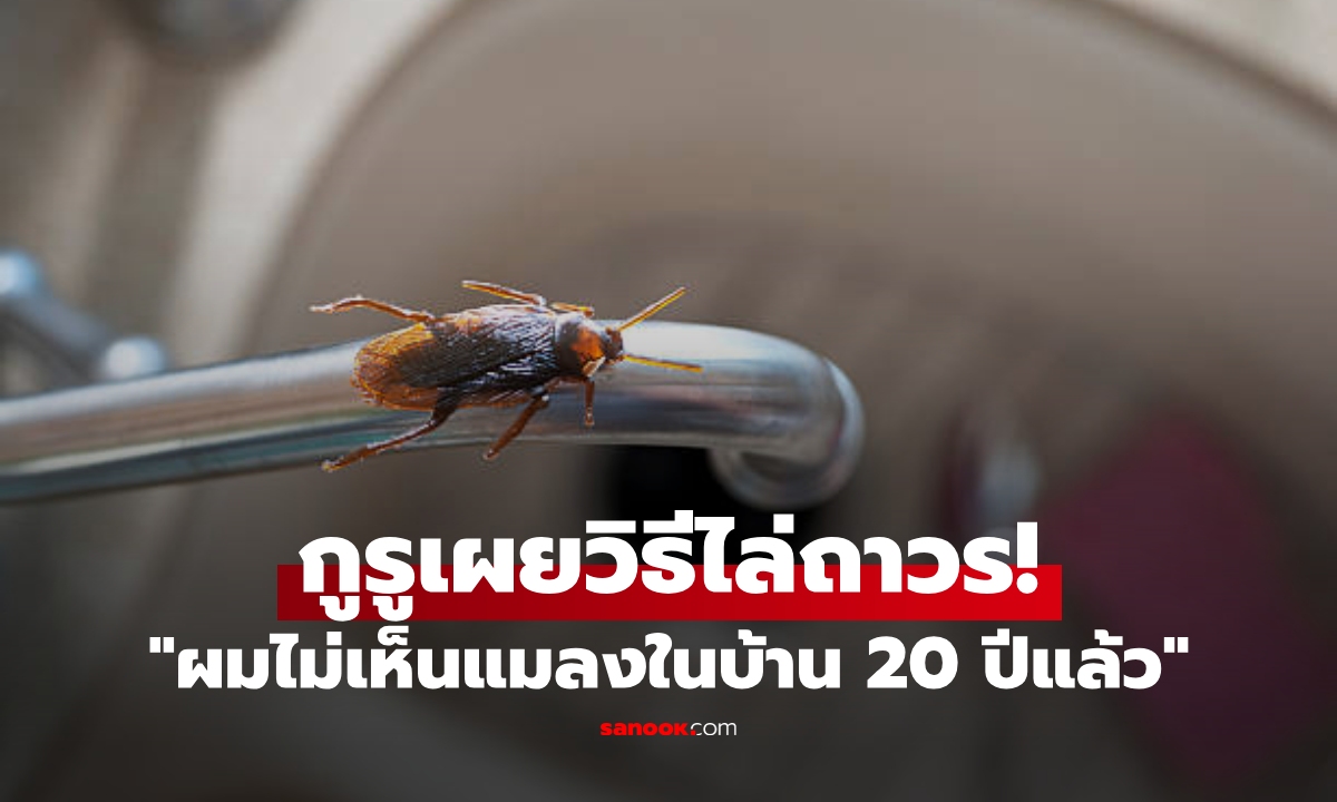 กำจัดแมลงสาบบินได้อย่างไร? อาจารย์เผย \