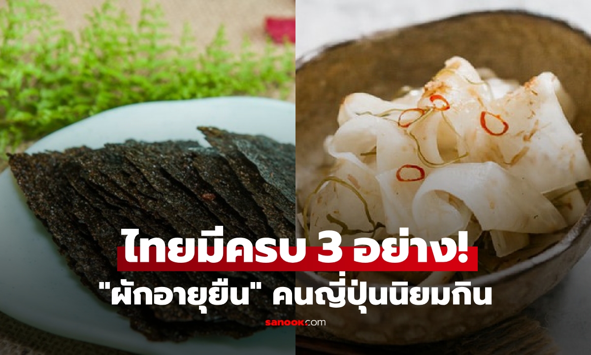 เผย 3 ผัก คนญี่ปุ่นนิยมกิน \