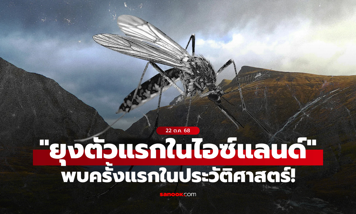 อ่านไม่ผิด! ไอซ์แลนด์ เจอ “ยุง” ในพื้นที่ชุมชนครั้งแรกในประวัติศาสตร์