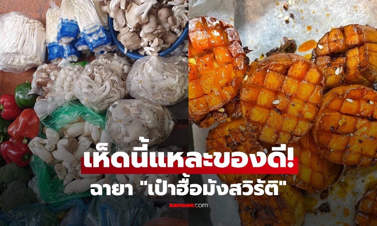 ไทยมีเกลื่อน! เห็ดฉายา \