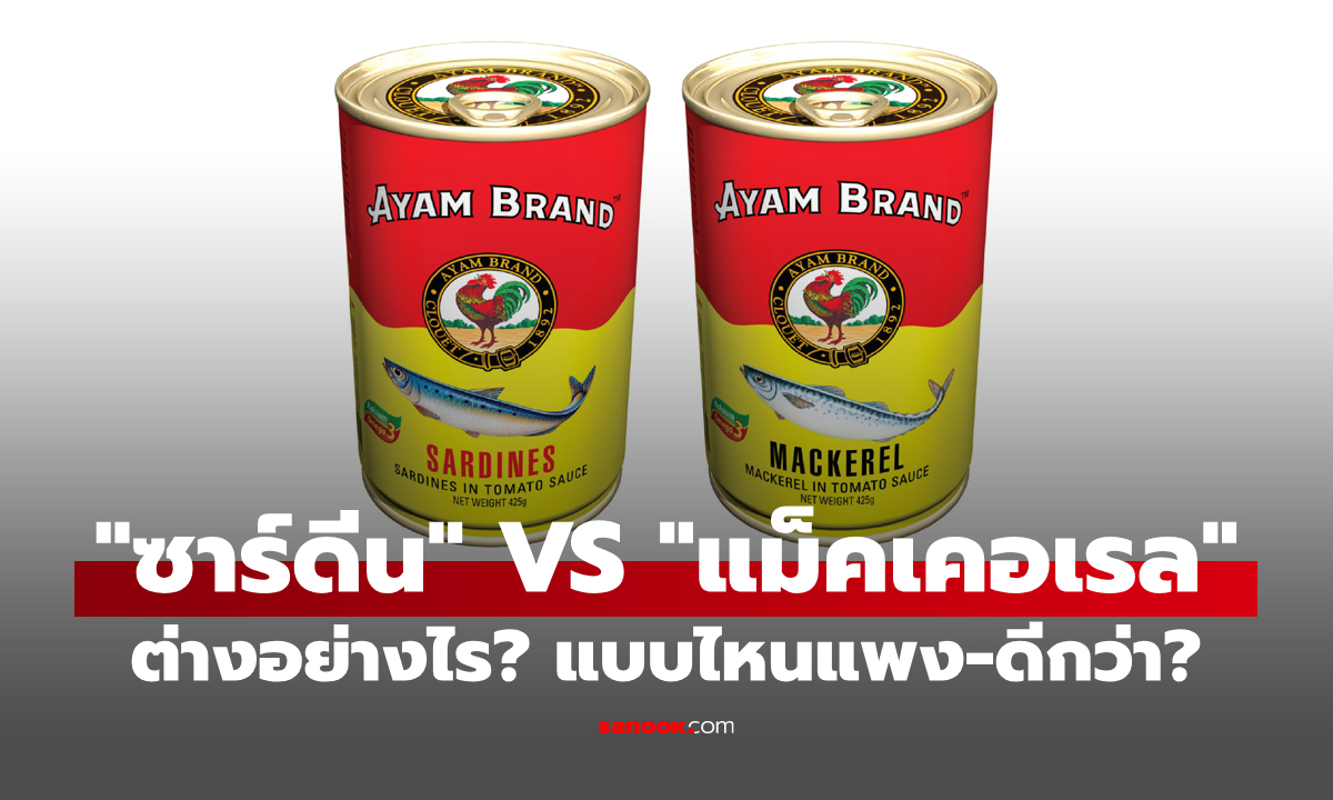 “ปลาซาร์ดีน” กับ “ปลาแม็คเคอเรล” ต่างกันอย่างไร? แบบไหนแพงกว่า-มีประโยชน์มากกว่า?