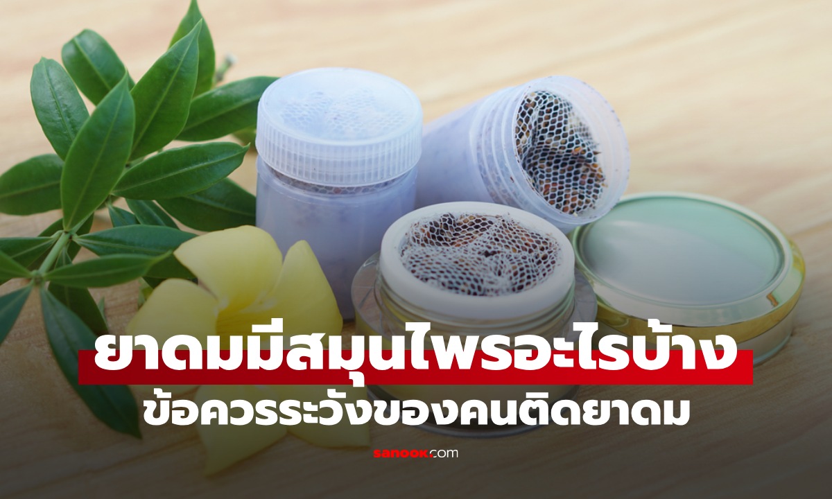 ยาดมสมุนไพร มีสมุนไพรอะไรบ้าง? ข้อควรระวังของคนติดยาดม ใช้ยังไงให้ปลอดภัย