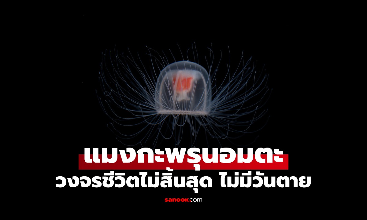 รู้จัก \