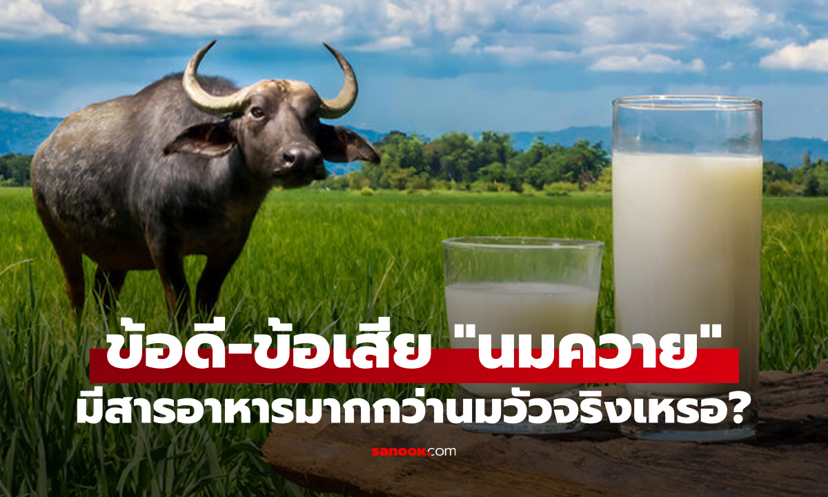 ข้อดี-ข้อเสียของ \