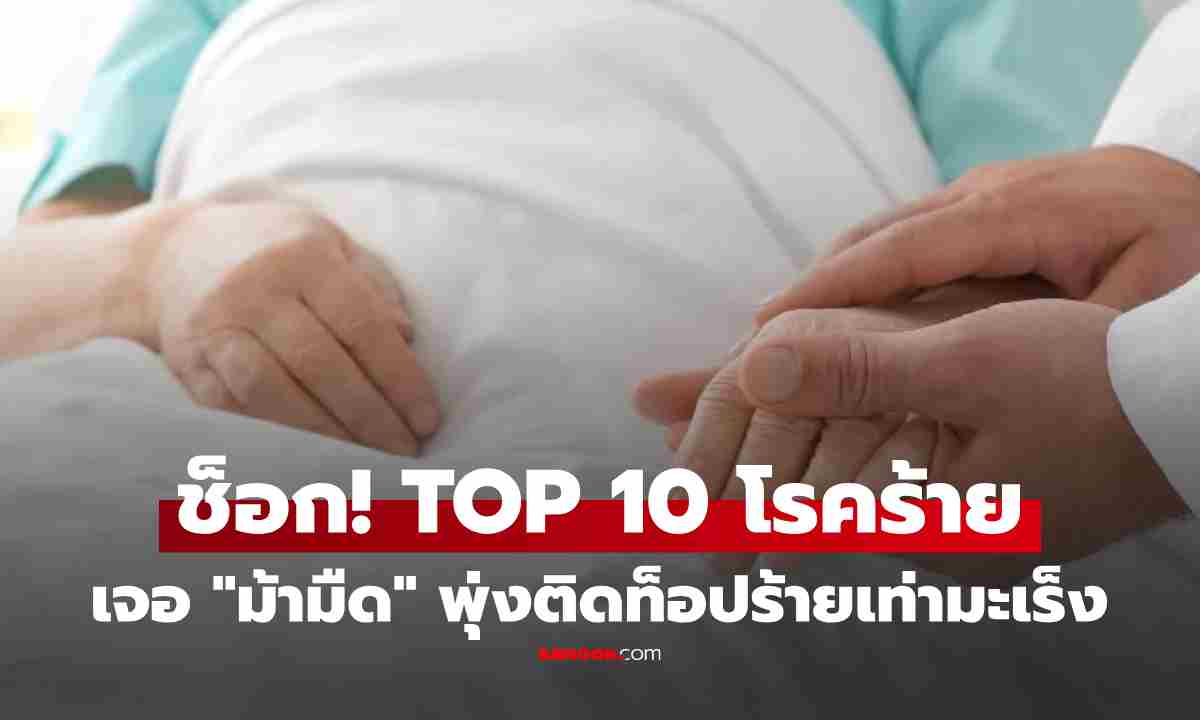เปิด TOP10 โรคร้าย พบ \