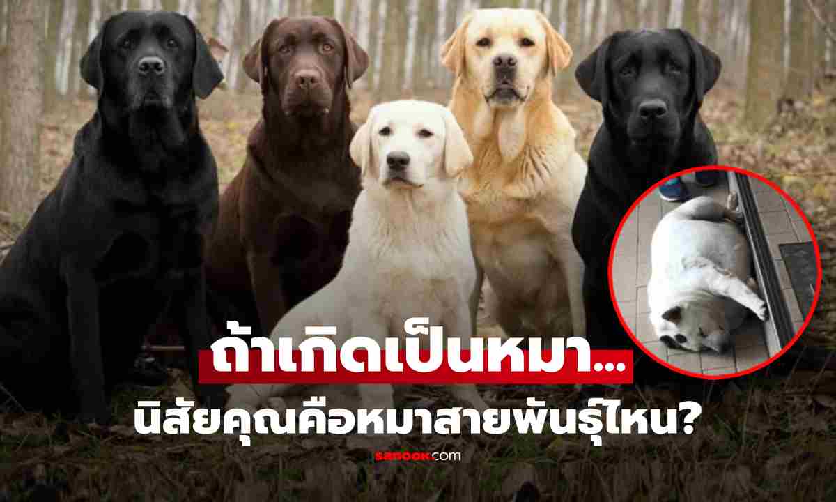 คุณคือ \