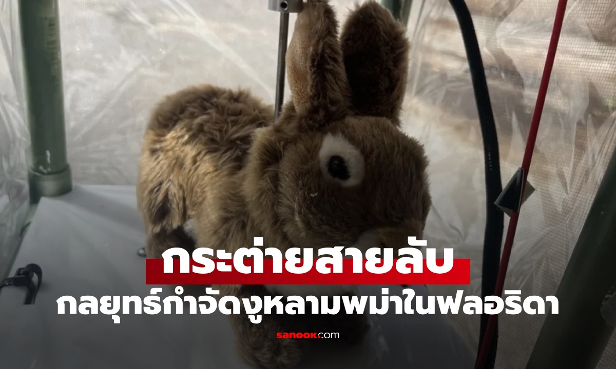 ผุดกลยุทธ์ \