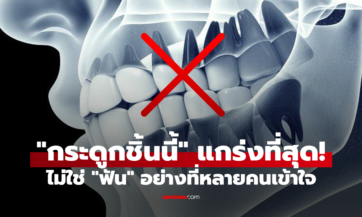 กระดูกส่วนไหนแข็งแกร่งที่สุดของร่างกาย? คำตอบไม่ใช่ \