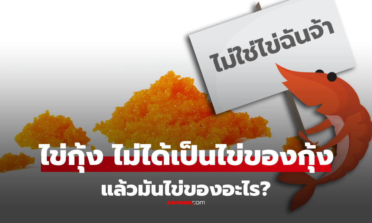 เข้าใจผิดมาตลอด? “ไข่กุ้ง” บนหน้าซูชิ ส่วนใหญ่ไม่ใช่ “ไข่ของกุ้ง” แล้วมันไข่อะไรกันแน่!