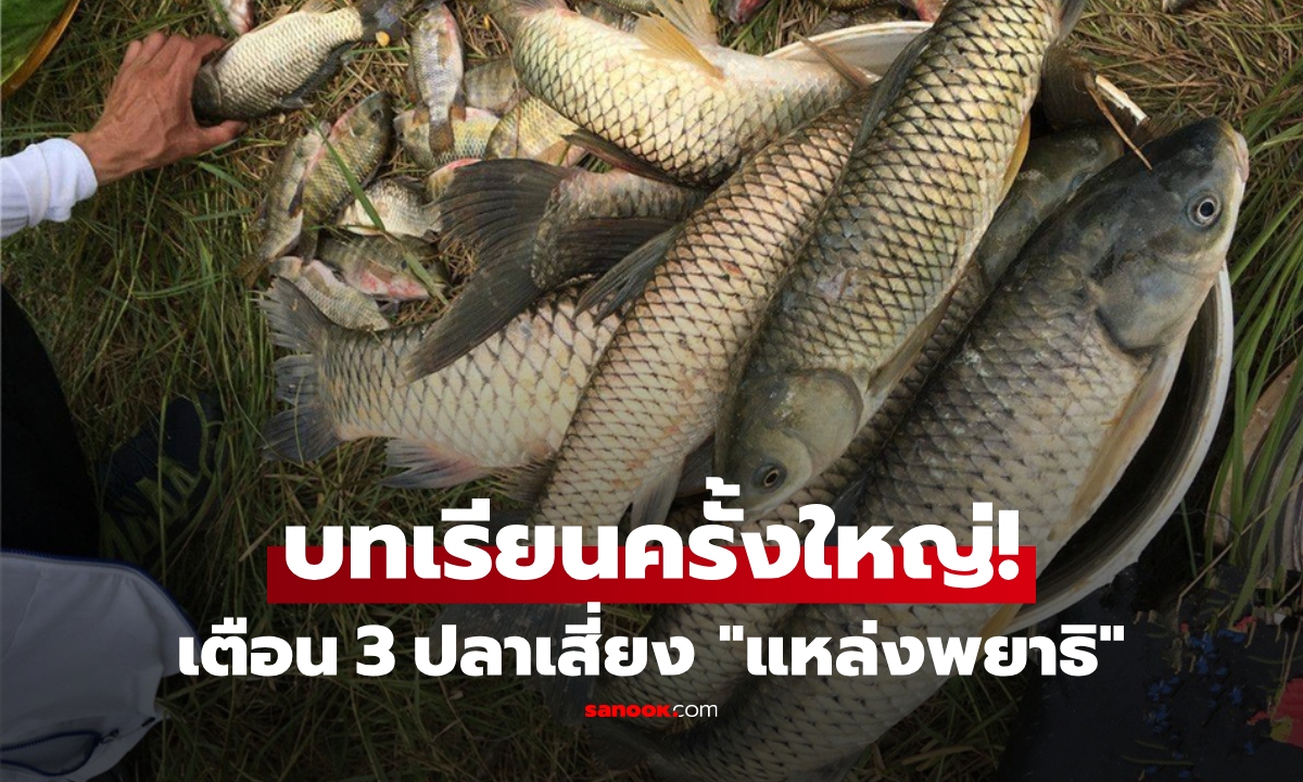 พ่อค้าเตือนญาติ  3 ปลาที่มัก \