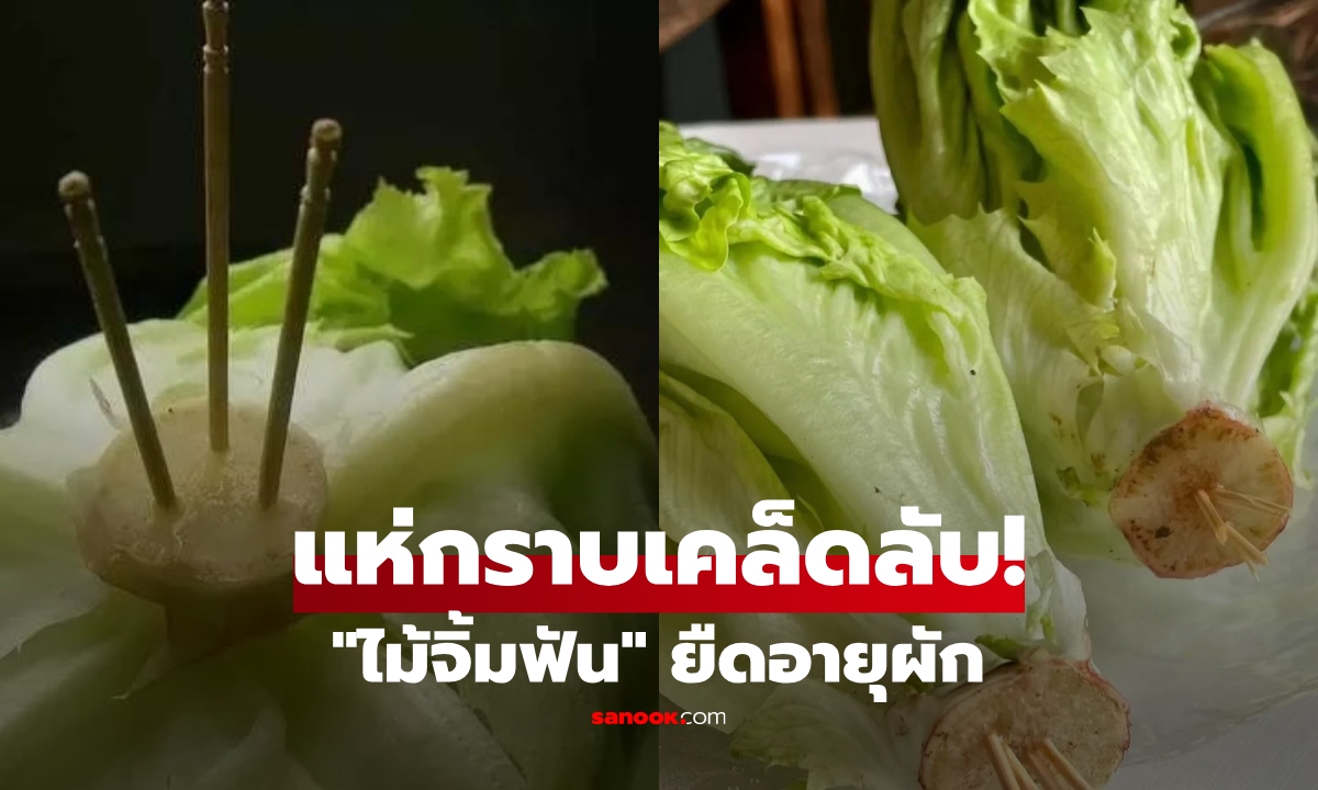 ต่างชาติแชร์ทริค \
