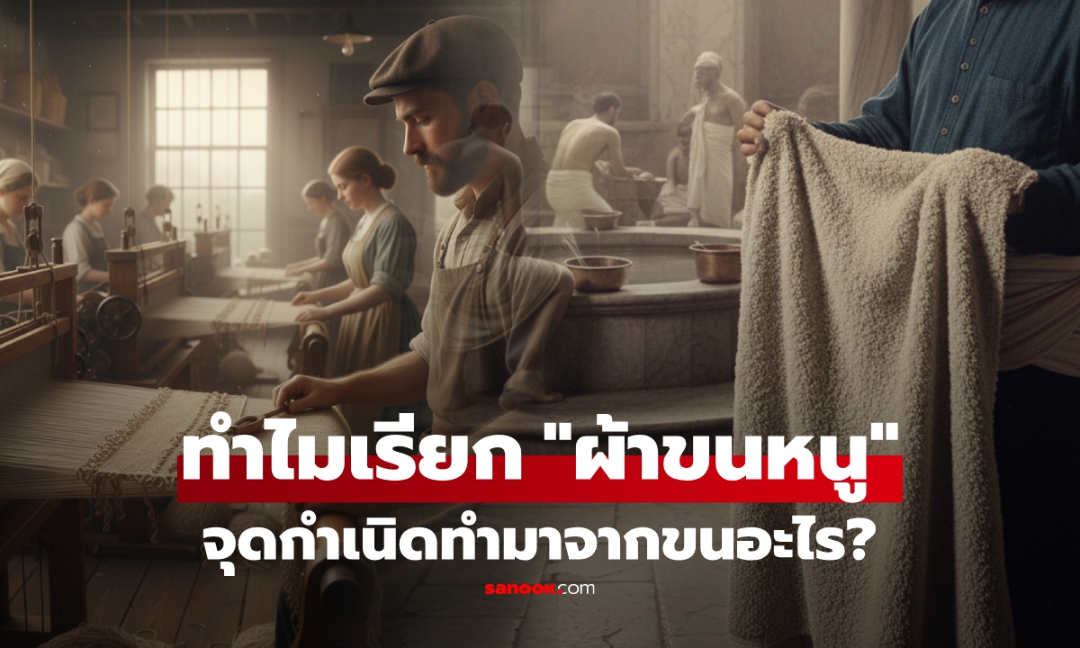 ทำไมถึงเรียกว่า \