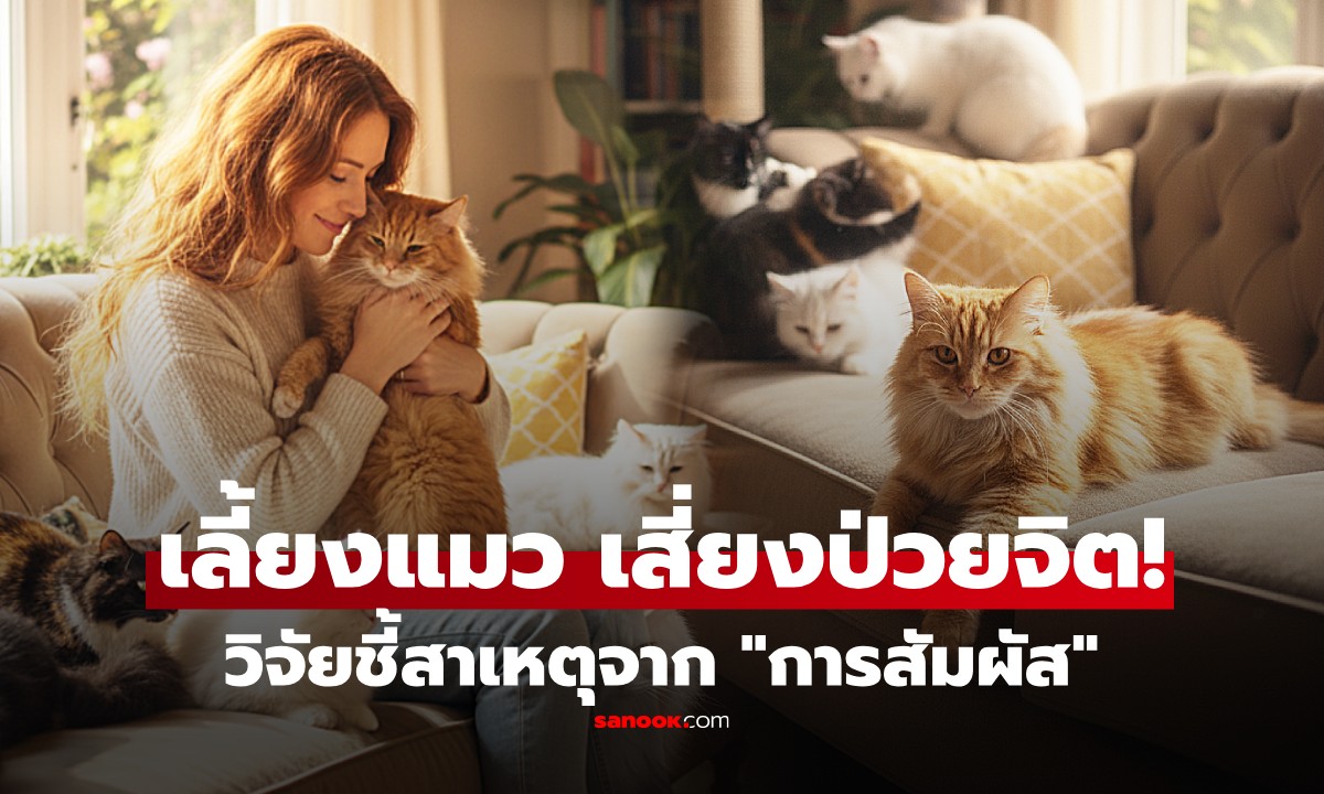 ทาสแมวช็อก! วิจัยชี้ \
