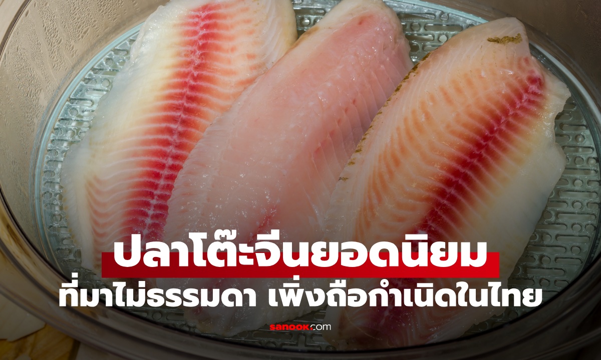 เปิดที่มา \