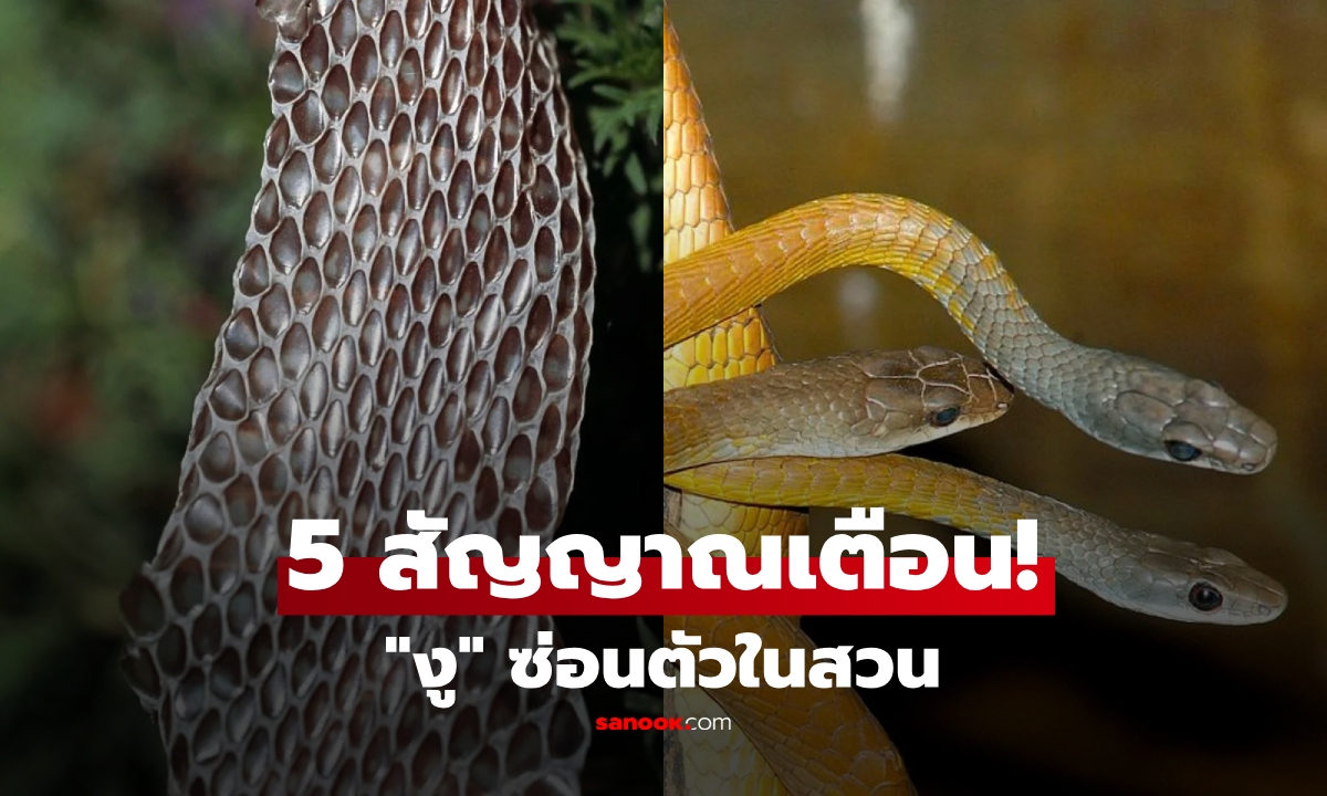 5 สัญญาณที่บ่งบอกว่า \