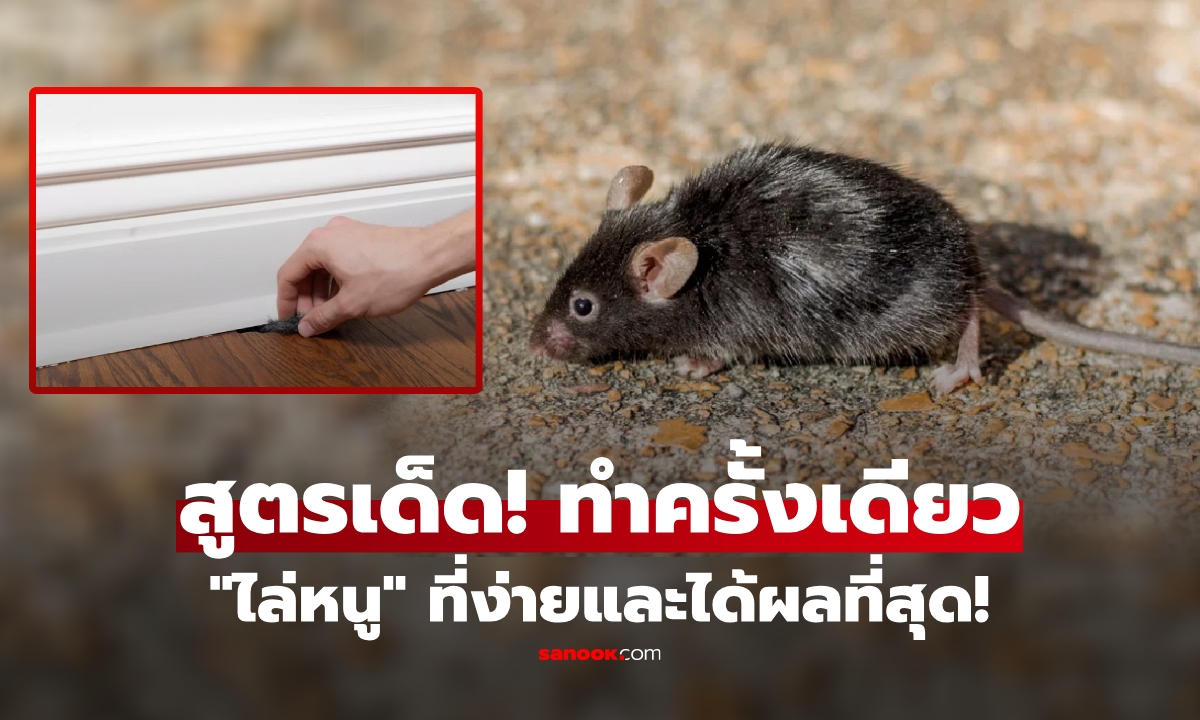 ต่างชาติอวย \