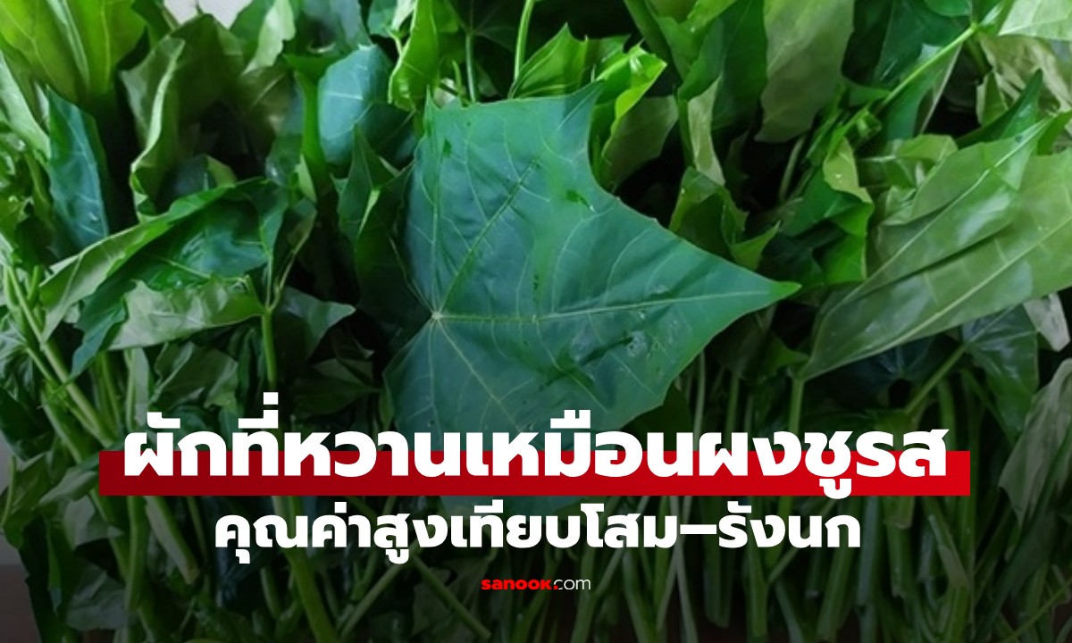 ผักชื่อแปลก! รสชาติหวานเหมือน \